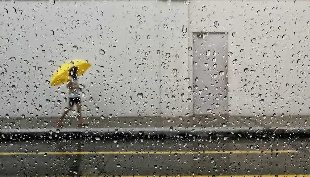 Famous street photographers capturing a person with yellow umbrella through a rain-covered window
