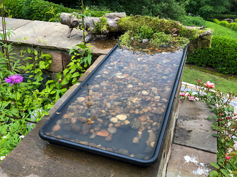A minature reflection pool