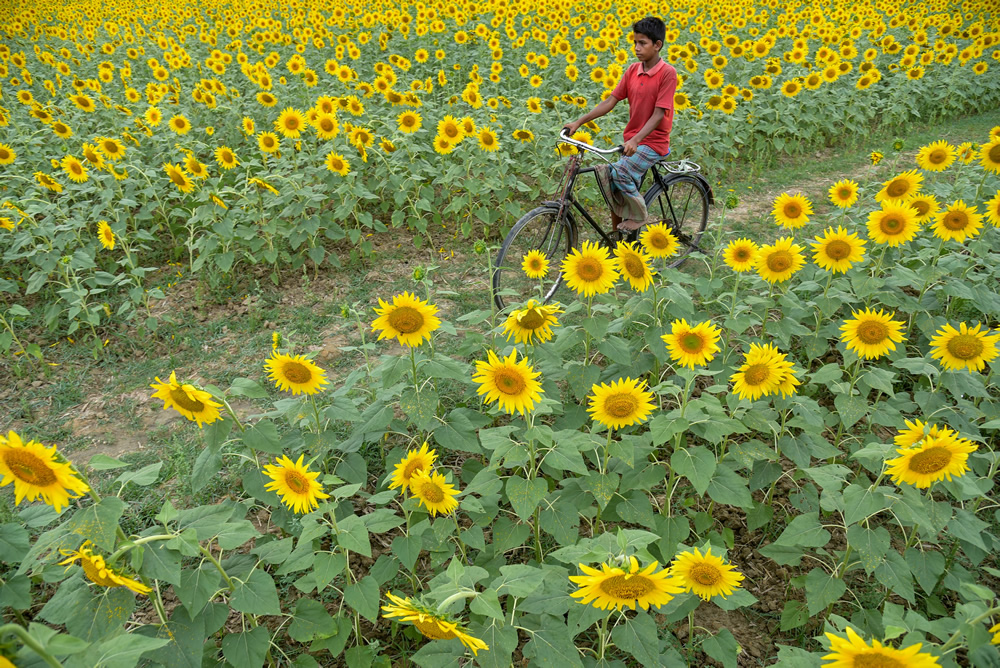 My Personal Best: Bangladeshi Photographer Kazi Md. Jahirul Islam