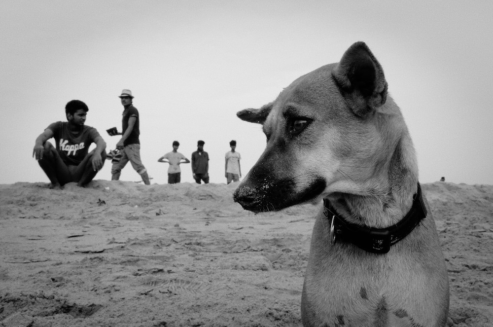 Marina Beach: Street Photography Series By Mahesh Balasubramanian