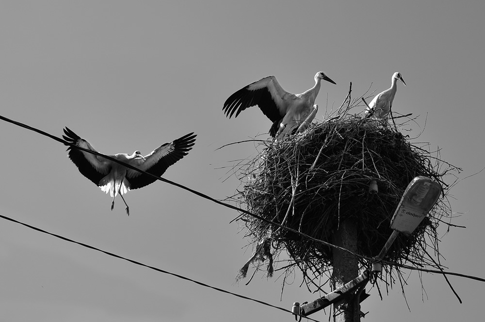 Street and Documentary Photography By Mzia Lekveishvili