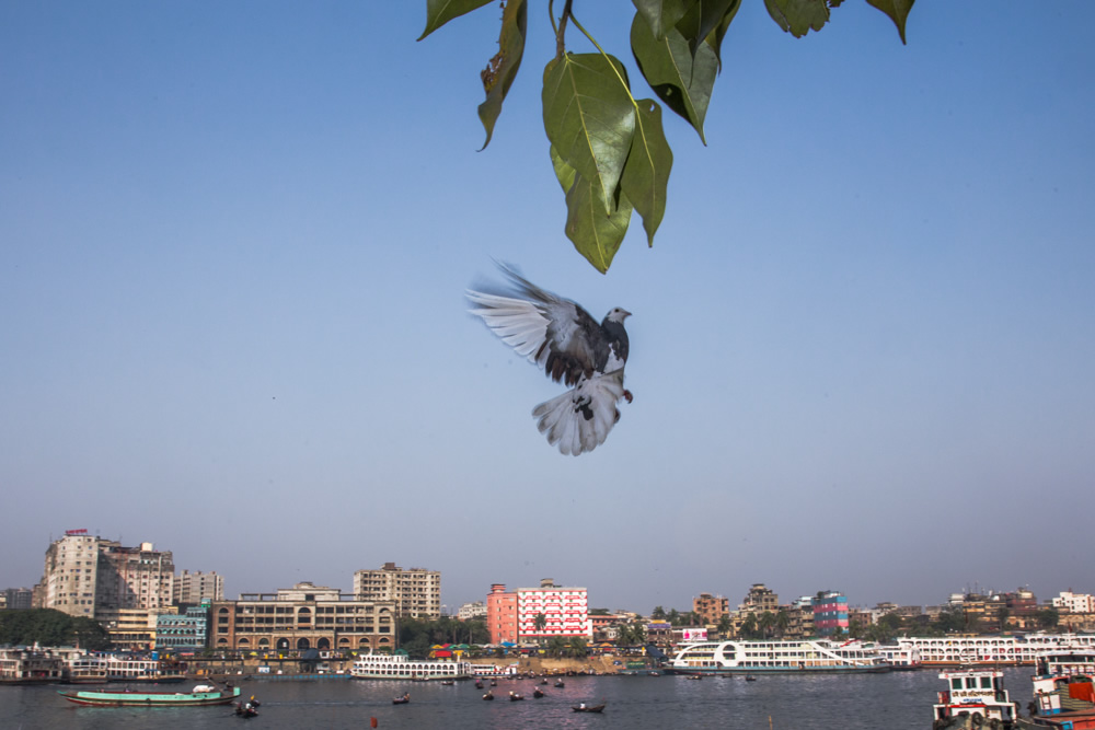 My Personal Best: Bangladeshi Street and Travel Photographer Pranto Nayan