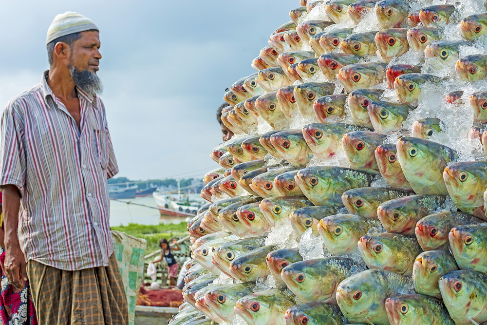 My Personal Best: Bangladeshi Photographer Sohel Chowdhury