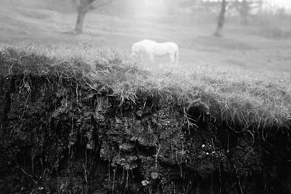 My Personal Best: Greece Photographer Tasos Koutsiaftis