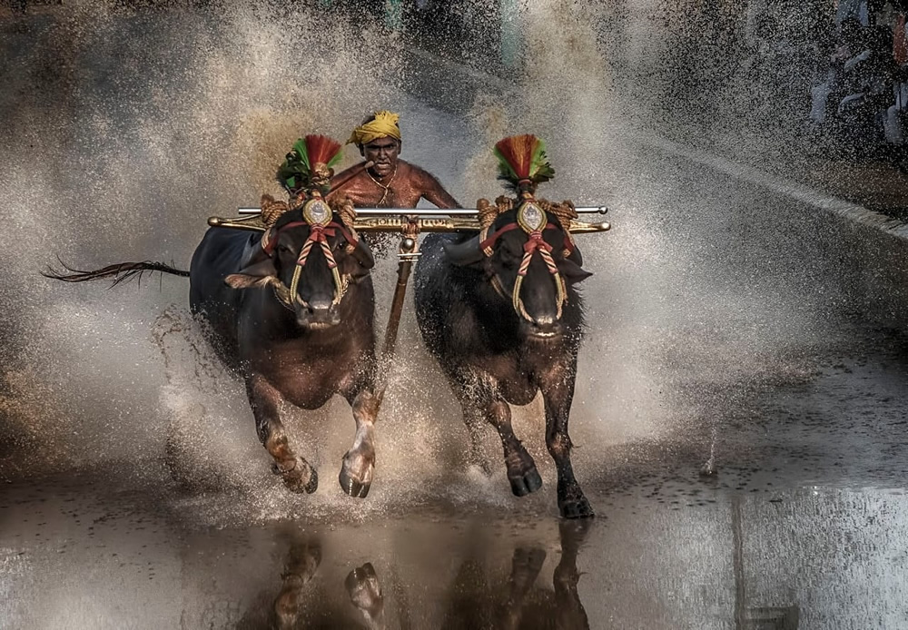Bhandara Festival Of Pattankodoli: Photo Series By Arun Saha 