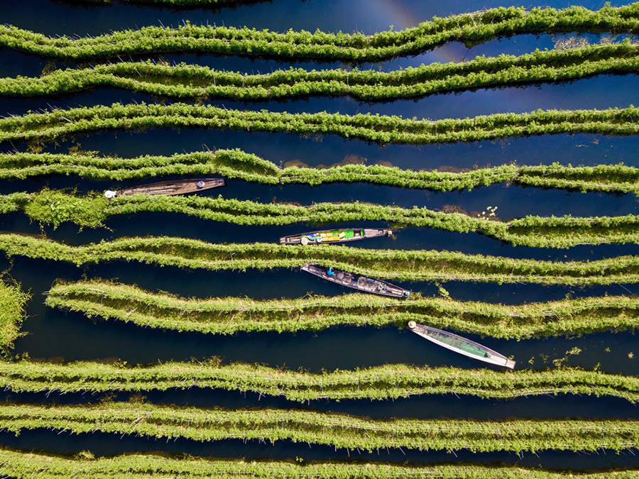 Floating gardens - Granollers, Spain