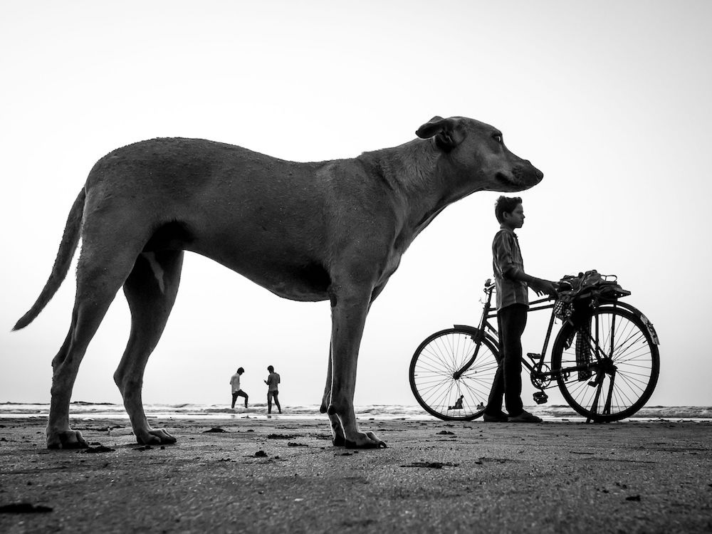 Interview With Indian Street Photographer Neenad Joseph Arul