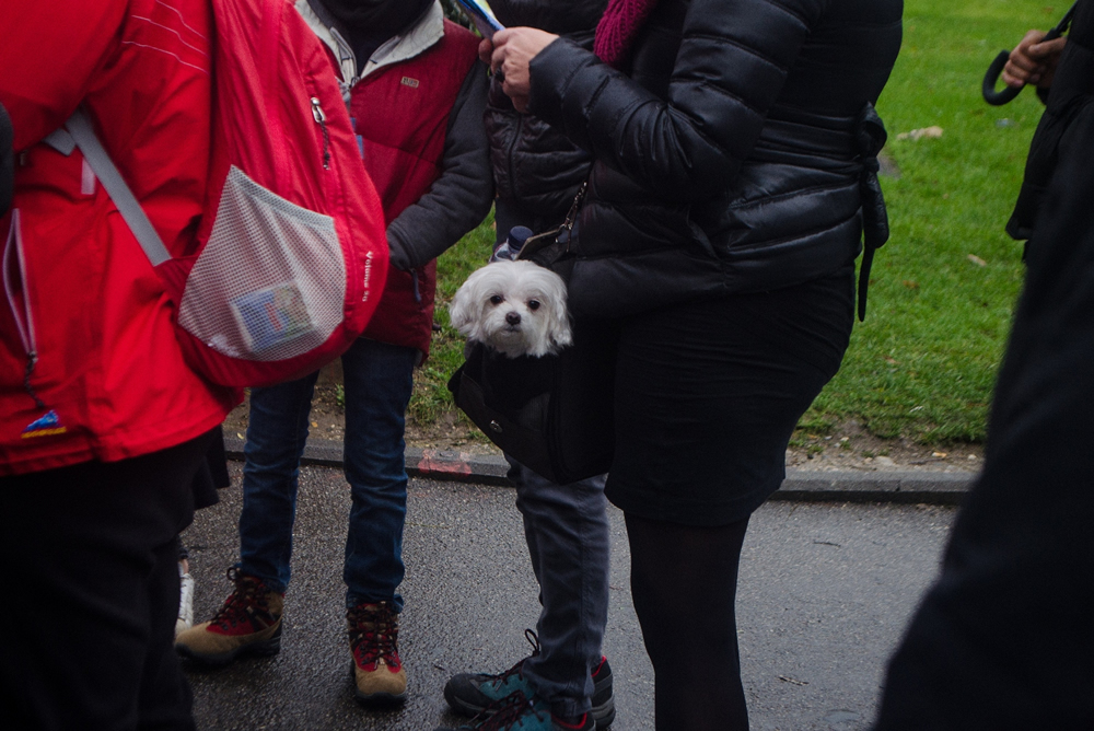 Street Drama Of Bremen: Photo Series By Nafi Sami