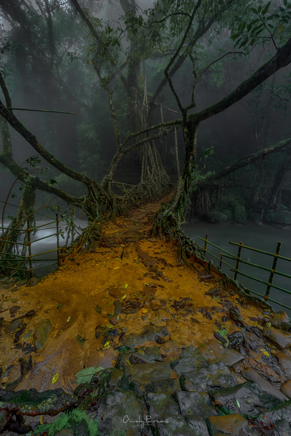 Nature Photographer Andy Pariat In Conversation With Raj Sarkar