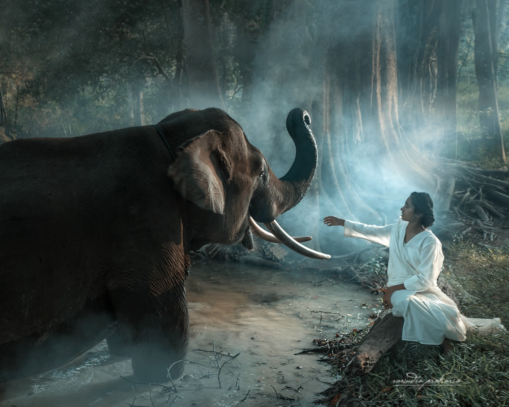Elephant: A Soulful Fine Art Photographs By Rarindra Prakarsa