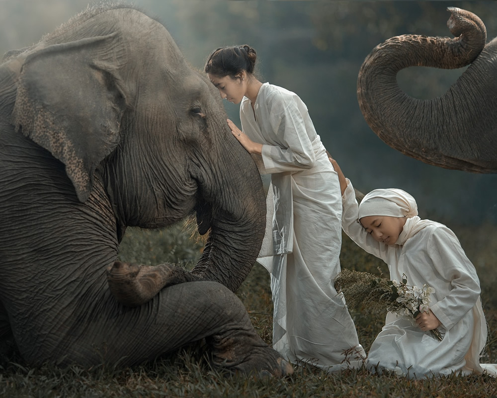 Elephant: A Soulful Fine Art Photographs By Rarindra Prakarsa