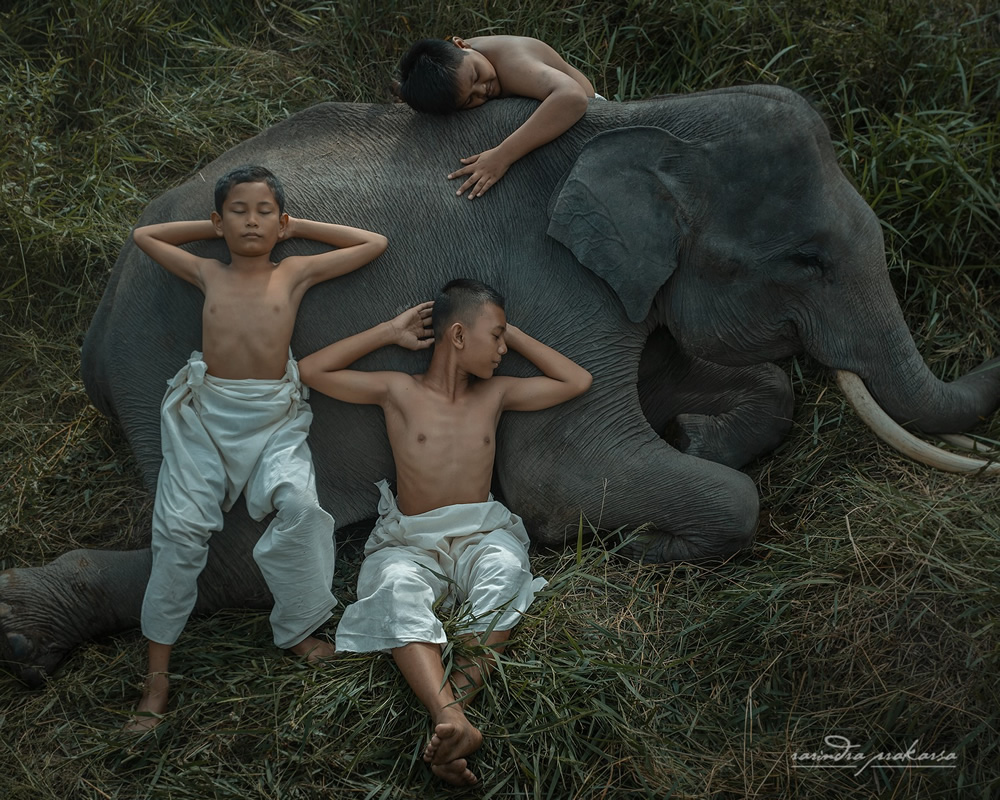 Elephant: A Soulful Fine Art Photographs By Rarindra Prakarsa