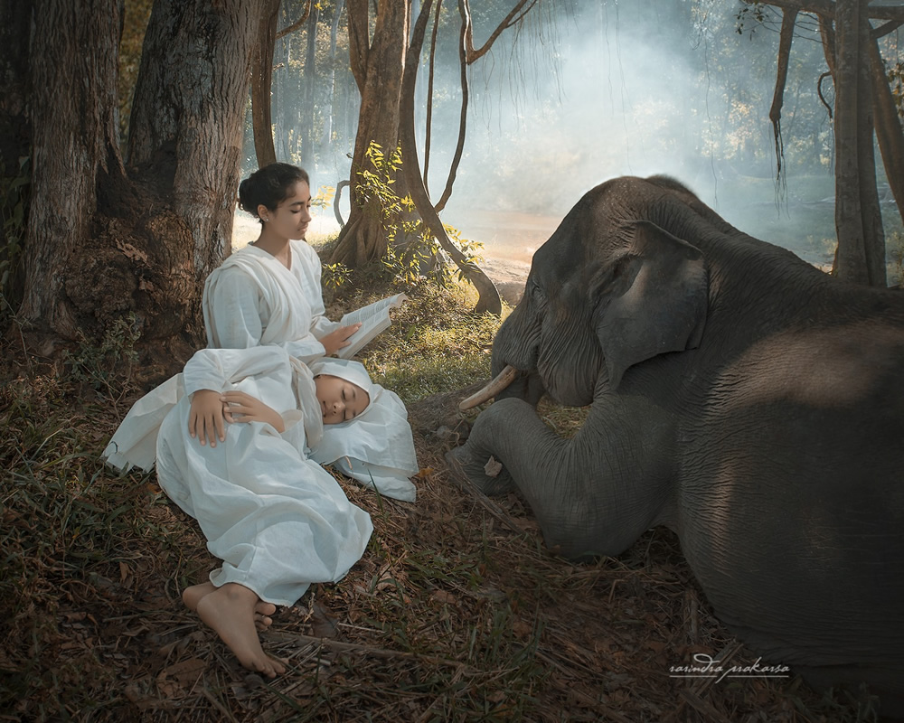 Elephant: A Soulful Fine Art Photographs By Rarindra Prakarsa