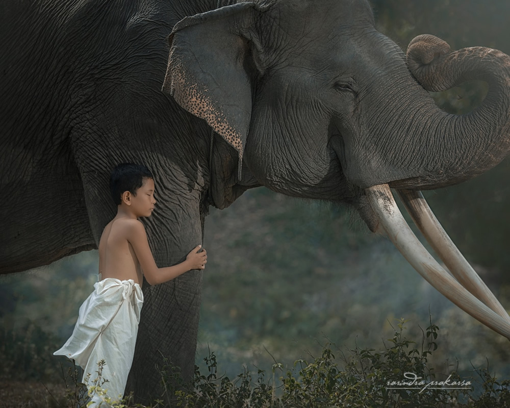 Elephant: A Soulful Fine Art Photographs By Rarindra Prakarsa