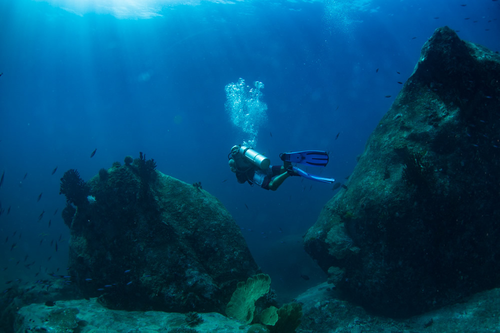 The Beautiful Beneath: The Magical World of Andaman Sea By Samya Sengupta