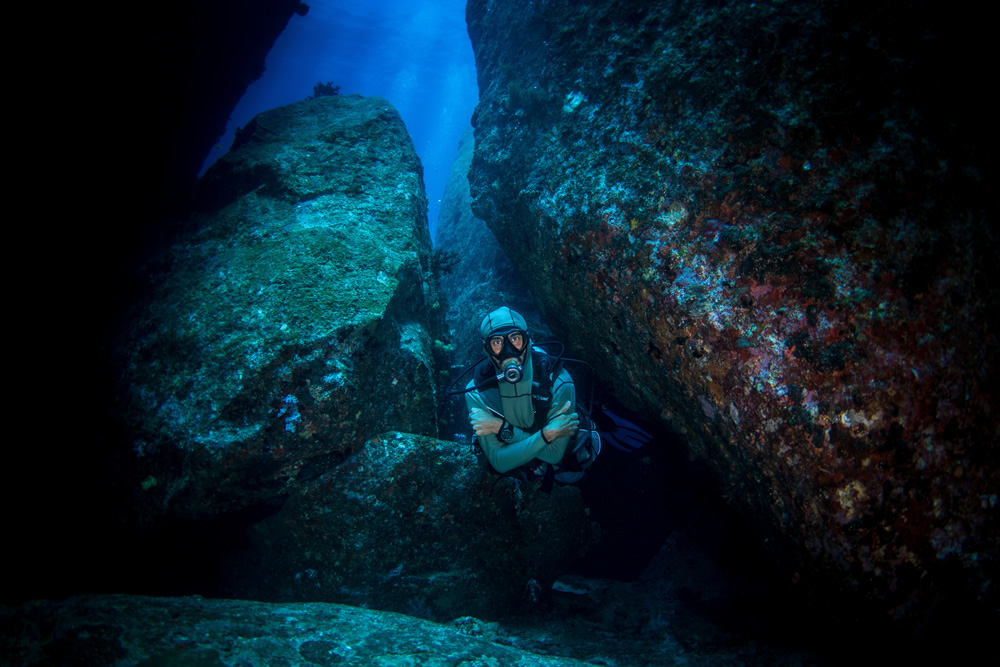 The Beautiful Beneath: The Magical World of Andaman Sea By Samya Sengupta