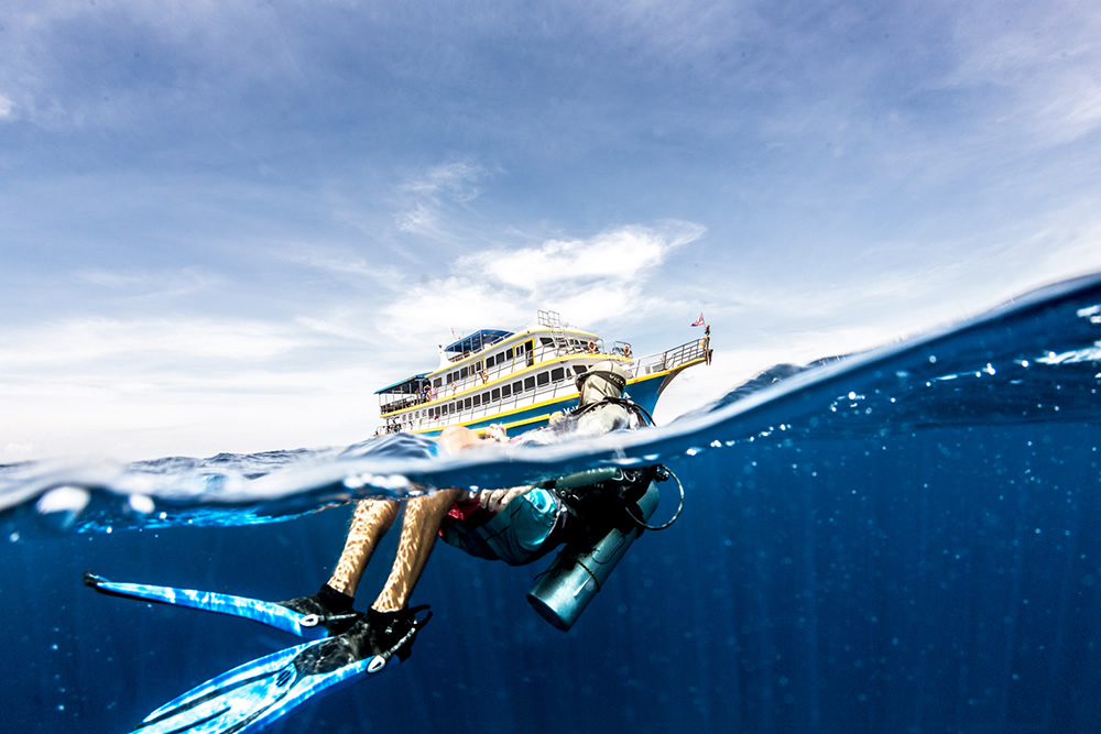 The Beautiful Beneath: The Magical World of Andaman Sea By Samya Sengupta