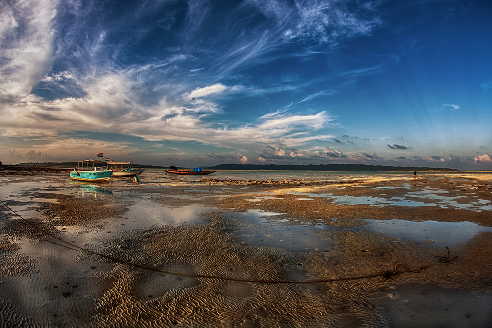 The Beautiful Beneath: The Magical World of Andaman Sea By Samya Sengupta
