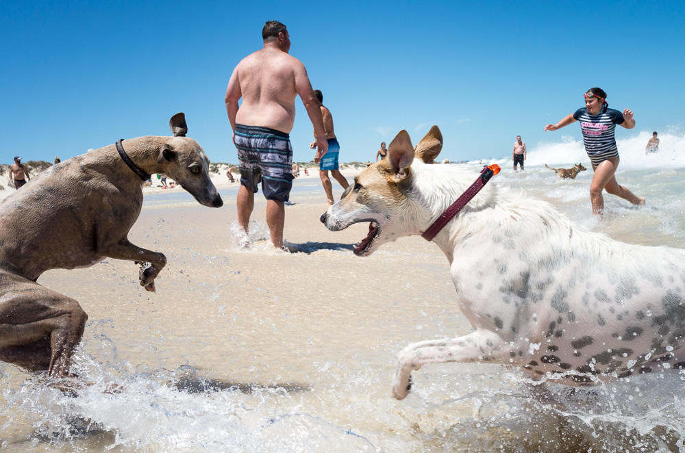 My Personal Best: Australian Street Photographer Rebecca Wiltshire