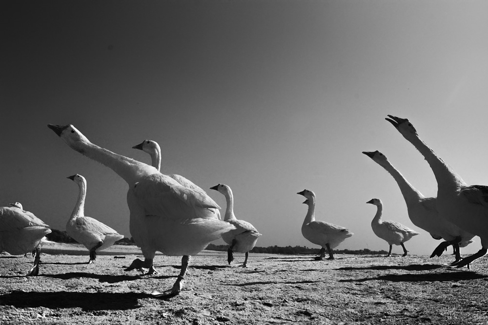 Sounds Of A River: Photo Series By Jibon Malaker