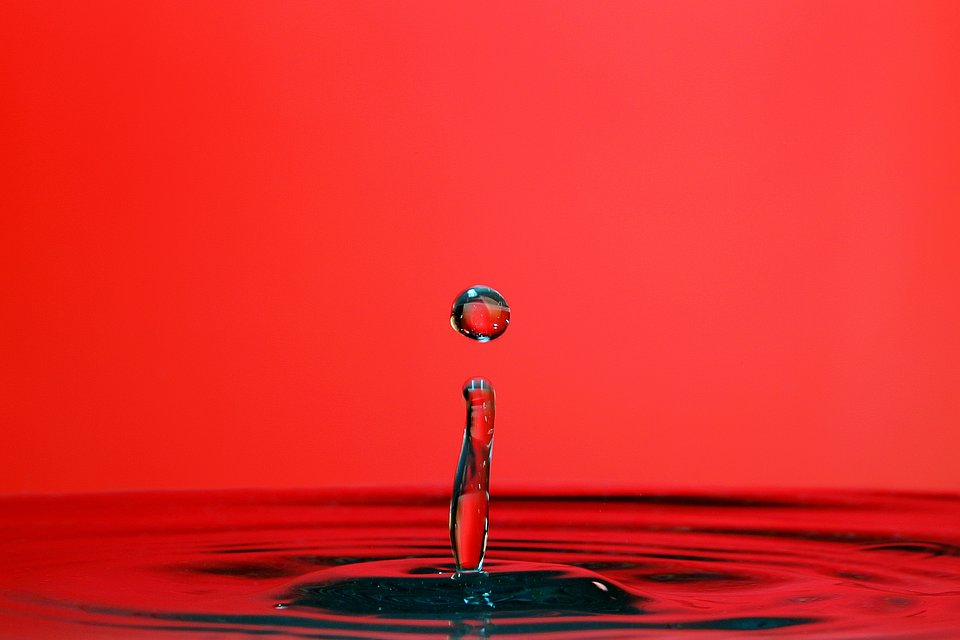 Red drop - Best Red Color Photography