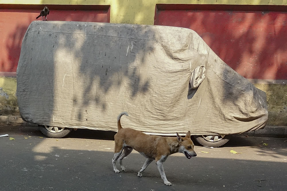 My Personal Best: Indian Street Photographer Siddhartha Paul