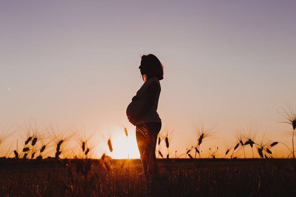 Beautiful pregnant woman at sunset- The Best Photos of Women