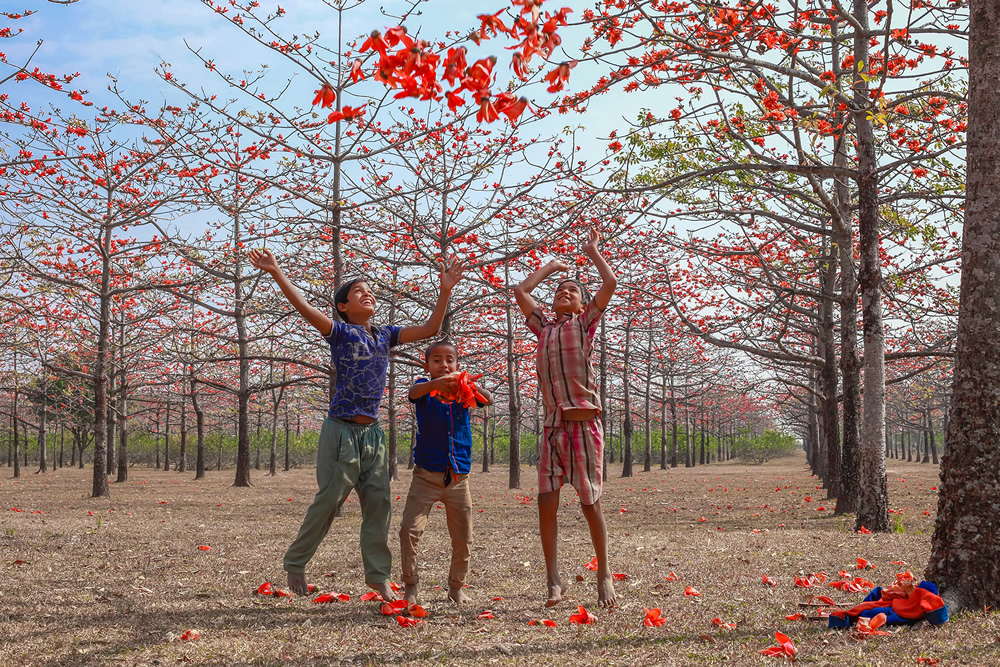 My Personal Best: Bangladeshi Photographer Amdad Hossain