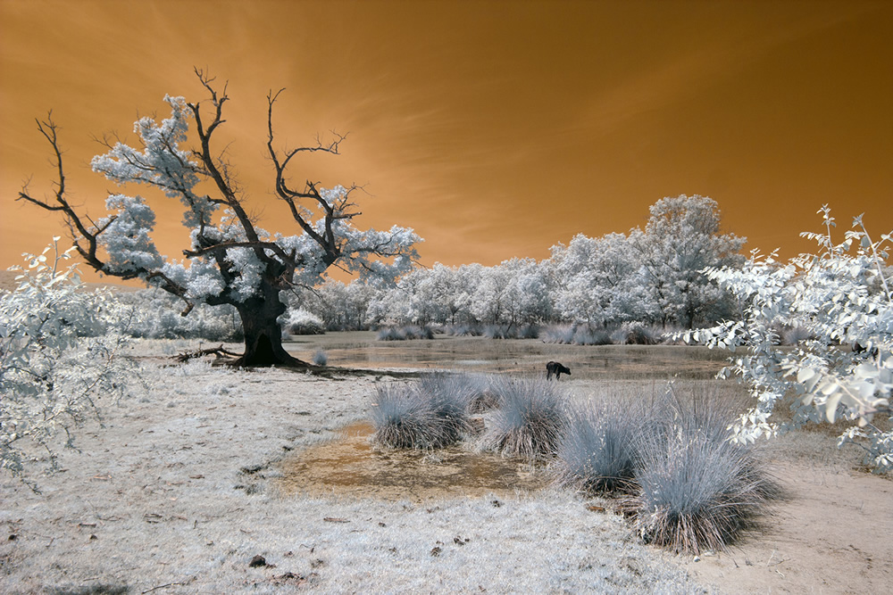 My Personal Best: Turkish Landscape Photographer Galip Cetiner