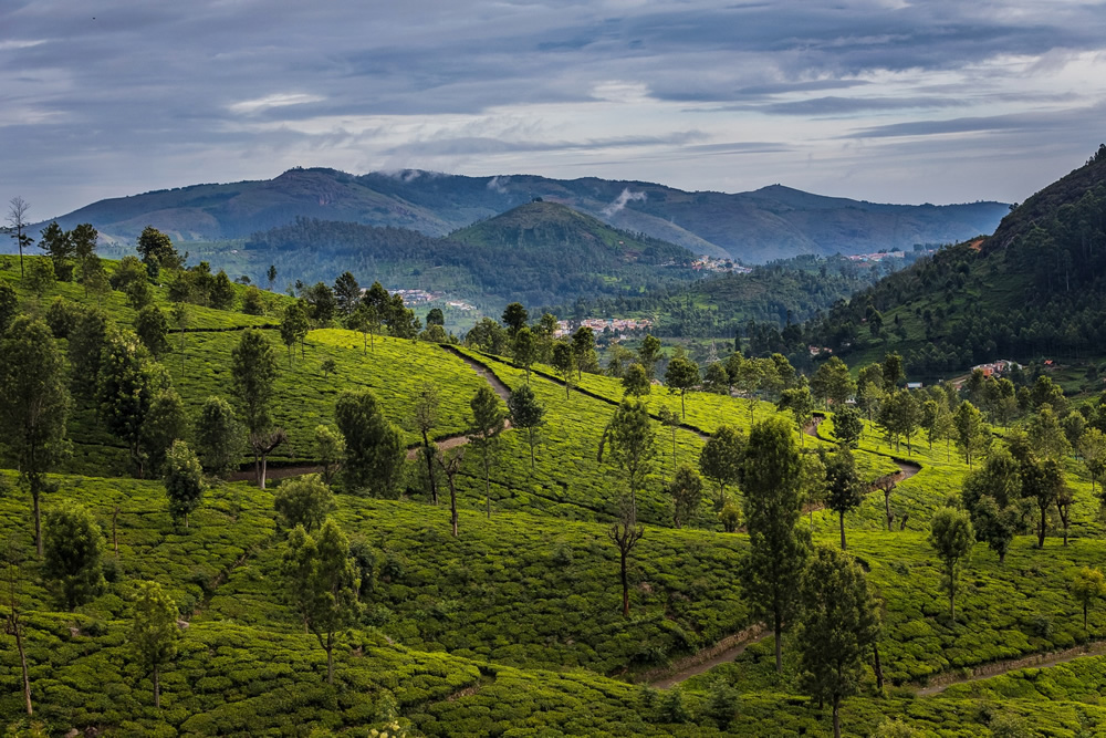 Kotagiri - Interview With Indian Travel Photographer Prudhvi Chowdary