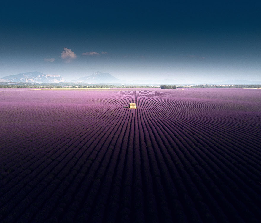 Stunning Landscapes Of A Lavender Field In Southern France By Samir Belhamra