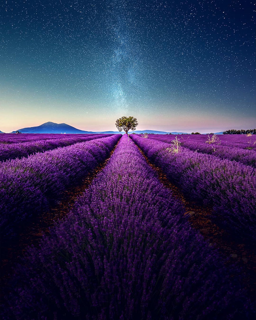 Stunning Landscapes Of A Lavender Field In Southern France By Samir ...