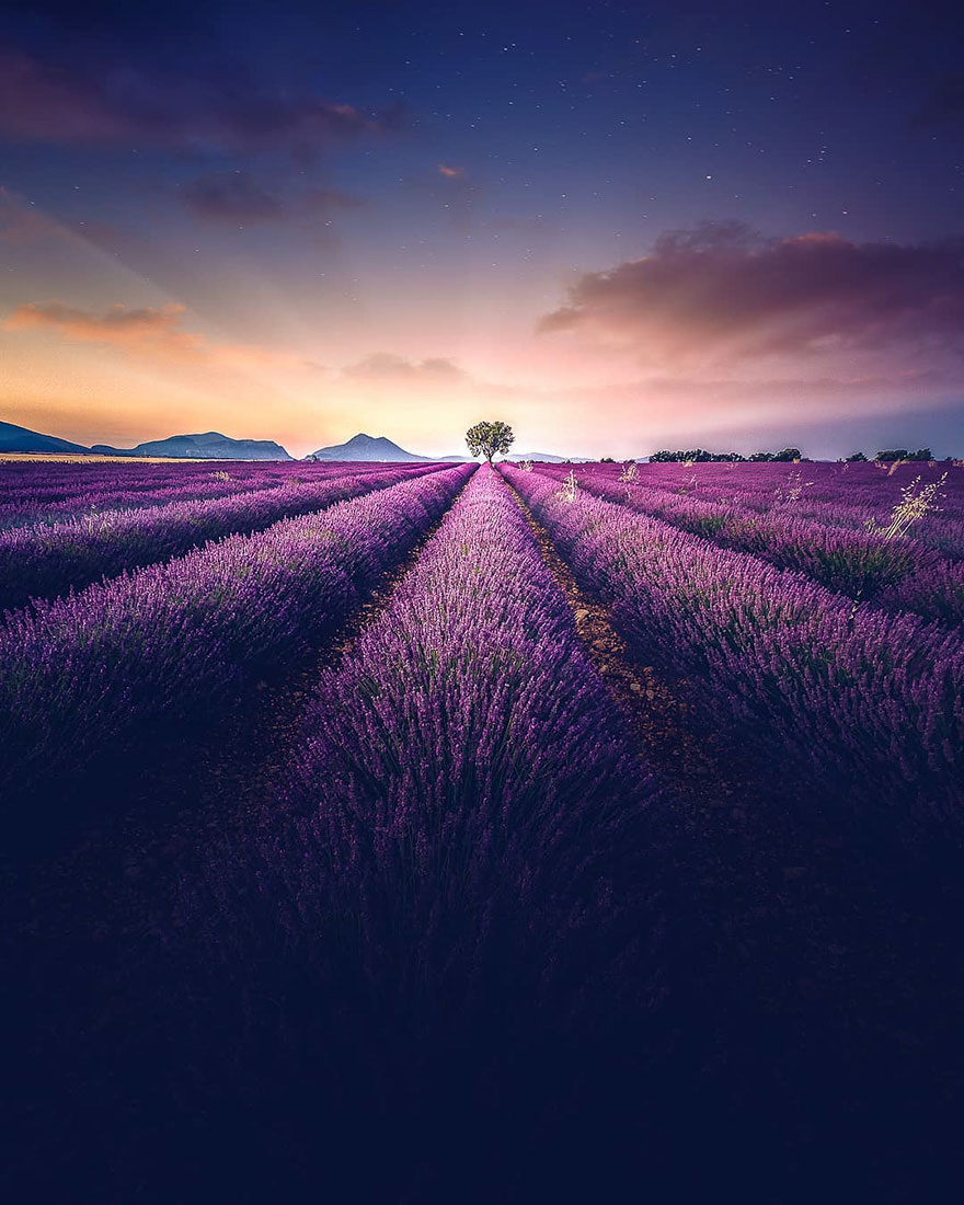 Stunning Landscapes Of A Lavender Field In Southern France By Samir Belhamra