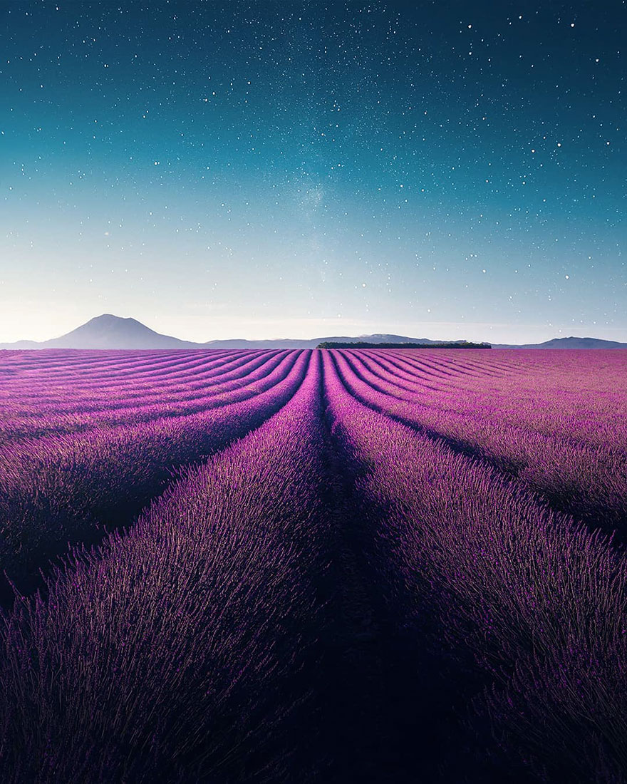 Stunning Landscapes Of A Lavender Field In Southern France By Samir Belhamra