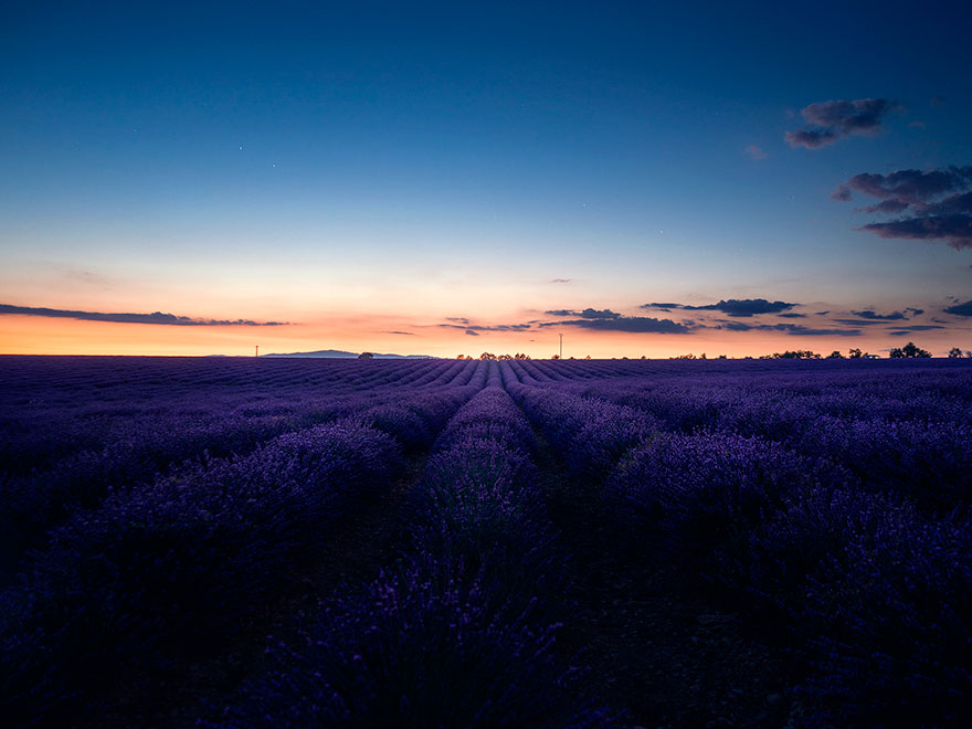 Stunning Landscapes Of A Lavender Field In Southern France By Samir Belhamra