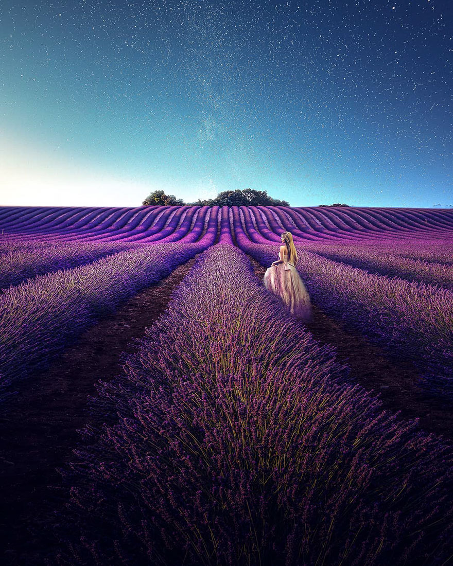 Stunning Landscapes Of A Lavender Field In Southern France By Samir Belhamra