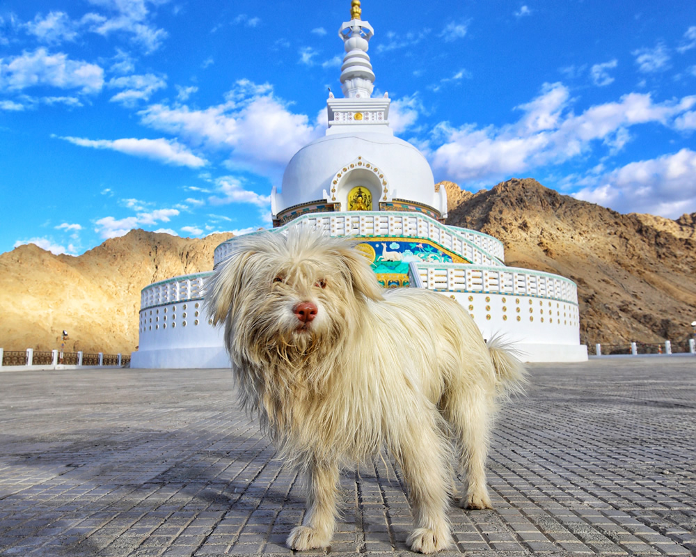 Shanti Stupa - Interview With Indian Travel Photographer Prudhvi Chowdary