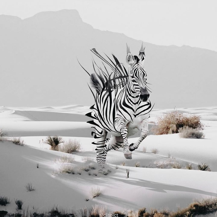 Creative Photo Manipulations Of Animals By Indonesian Digital Artist Aditya Aryanto