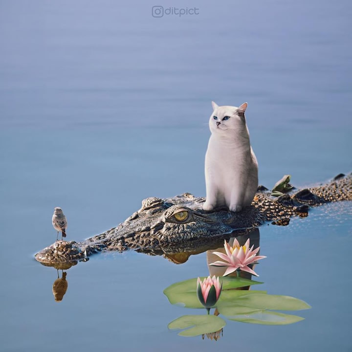 Creative Photo Manipulations Of Animals By Indonesian Digital Artist Aditya Aryanto