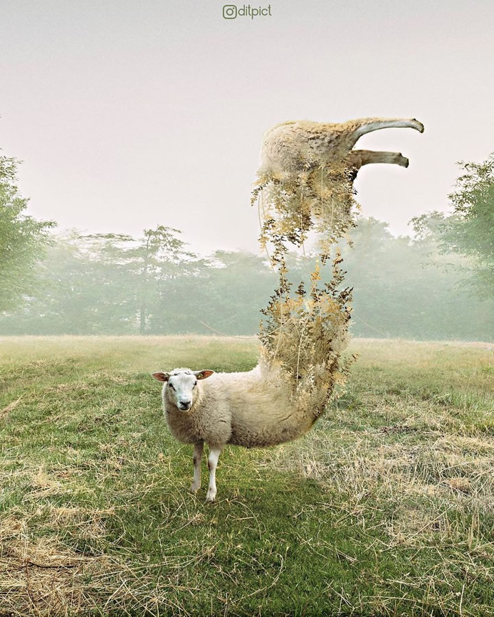 Creative Photo Manipulations Of Animals By Indonesian Digital Artist Aditya Aryanto