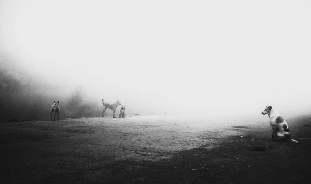 Fog - Daily Life in Village: Photo Series By Dnyaneshwar Prakash Vaidya