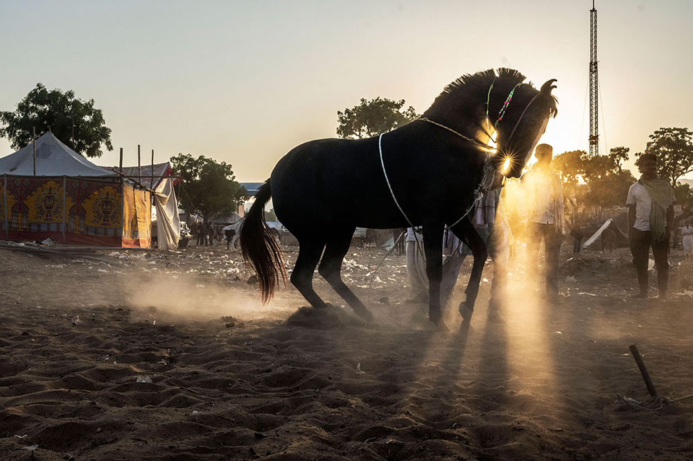 My Personal Best: Indian Street Photographer Debrani Das