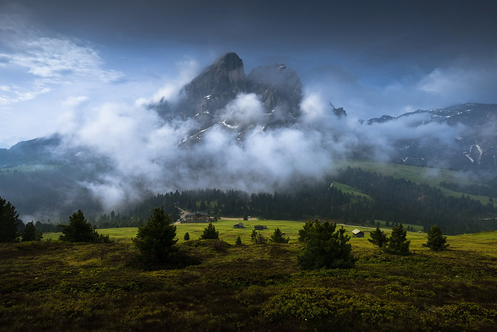 Nice morning light hits the beautiful South-Tyrolean meadows. June 2018