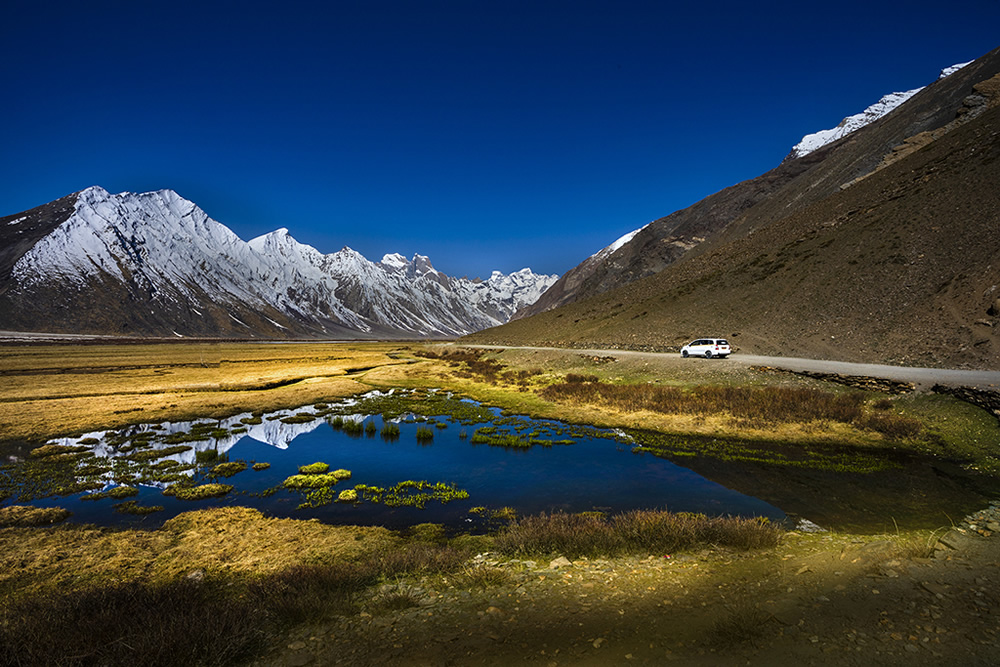 My Personal Best: Indian Nature Photographer Jhuma Datta