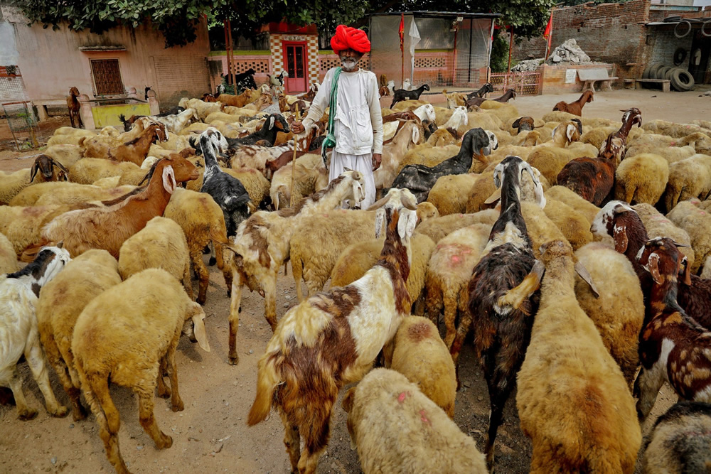 People’s Of Rajasthan, India: Photo Series By Rahul Machigar