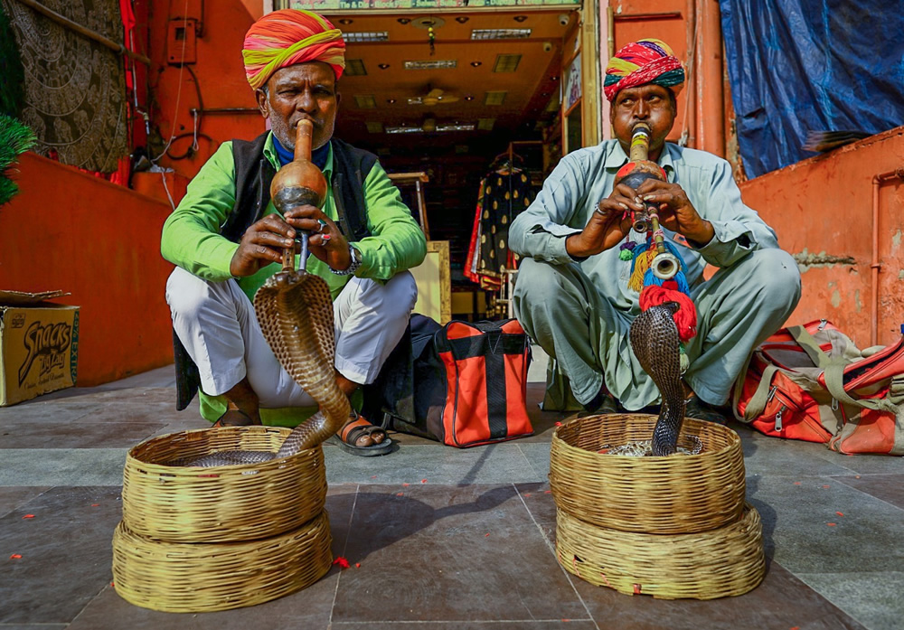 People’s Of Rajasthan, India: Photo Series By Rahul Machigar