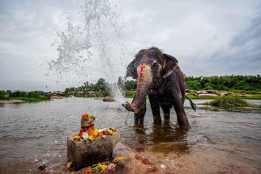 My Personal Best: Indian Photographer Shreenivas Yenni