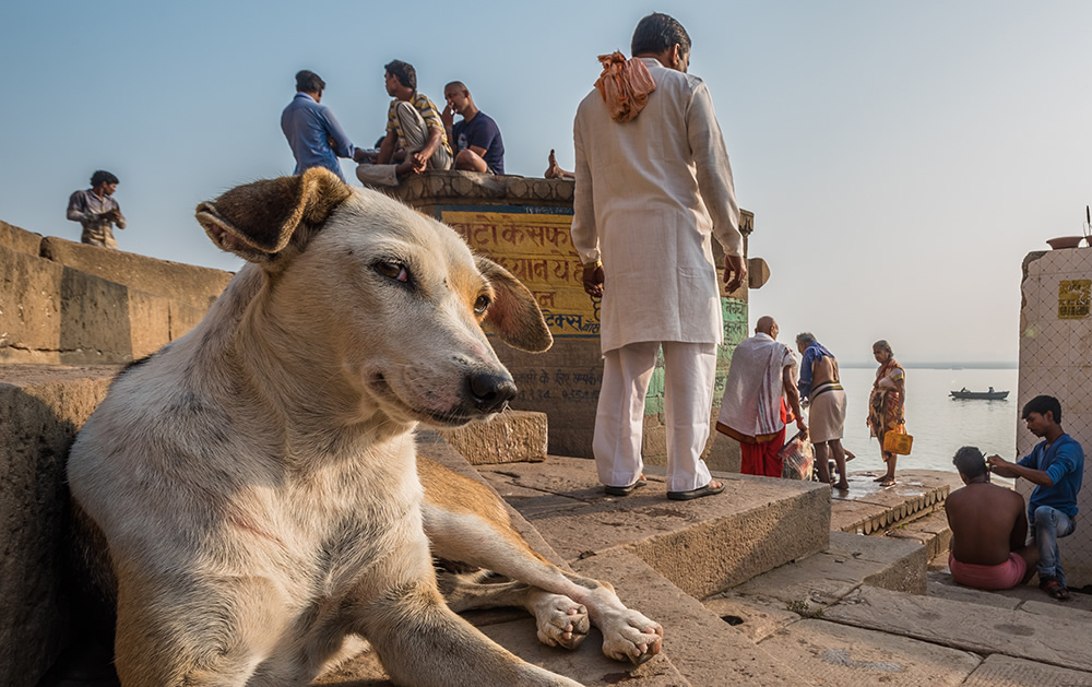 My Personal Best: Indian Photographer Shreenivas Yenni