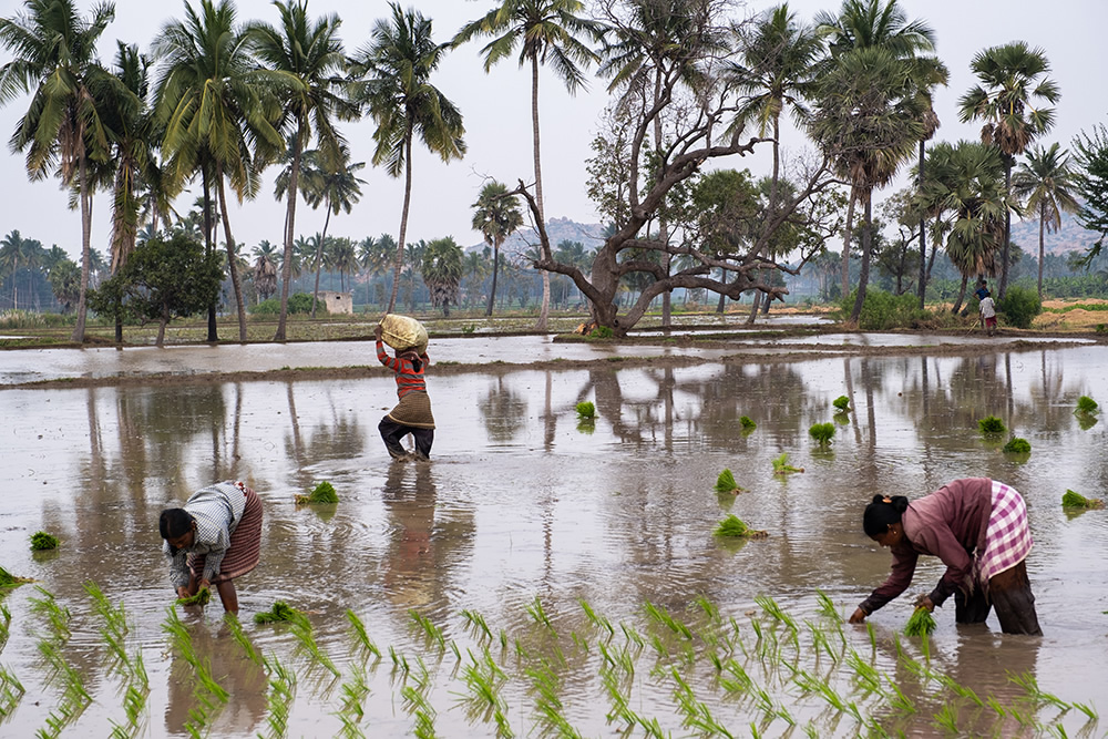 My Personal Best: Indian Photographer Shreenivas Yenni