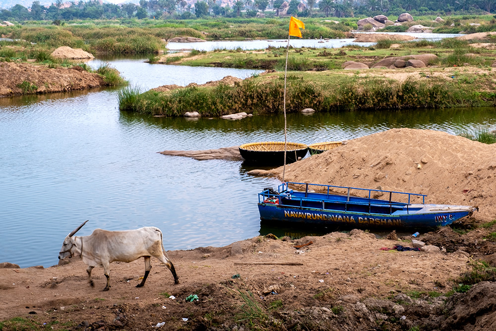 My Personal Best: Indian Photographer Shreenivas Yenni